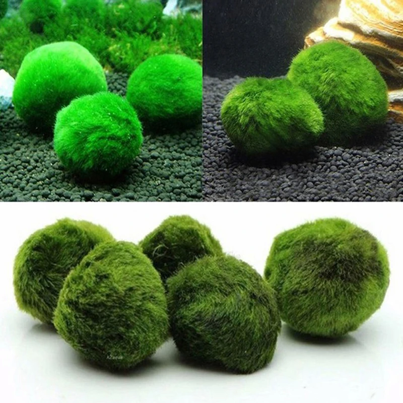 Aquarium Planted Tank Substrate - 1 Stuks 3-4 Cm Mos Ballen