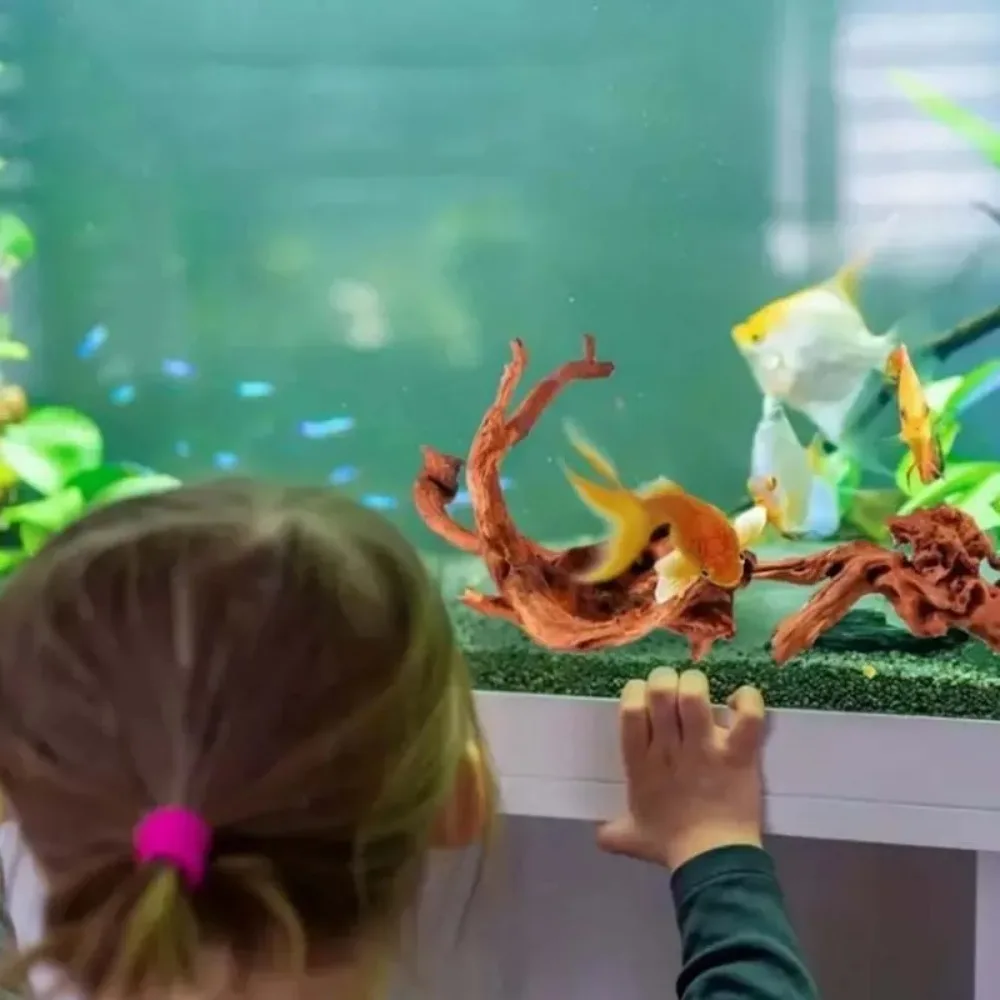 Planted Aquarium With Driftwood - Nieuwe natuurlijke kleine boomstam drijfhout zinkend