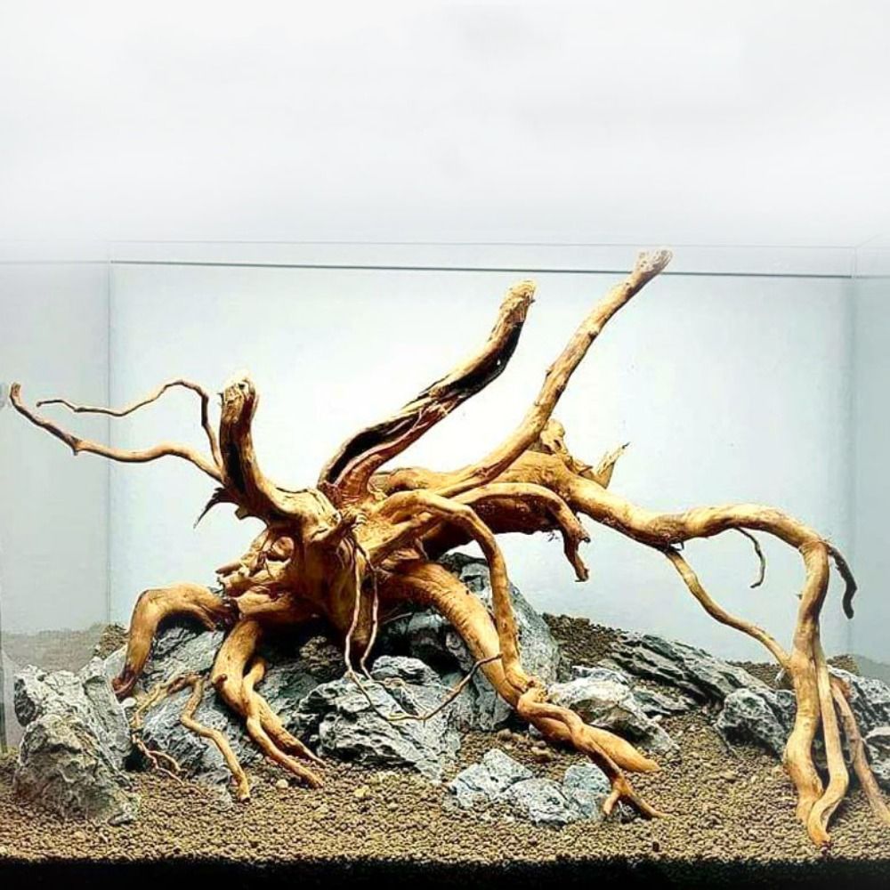 Aquarium Planted Substrate - Natuurlijke Boomstam Aquarium Decoratie Hout Kunstwerk