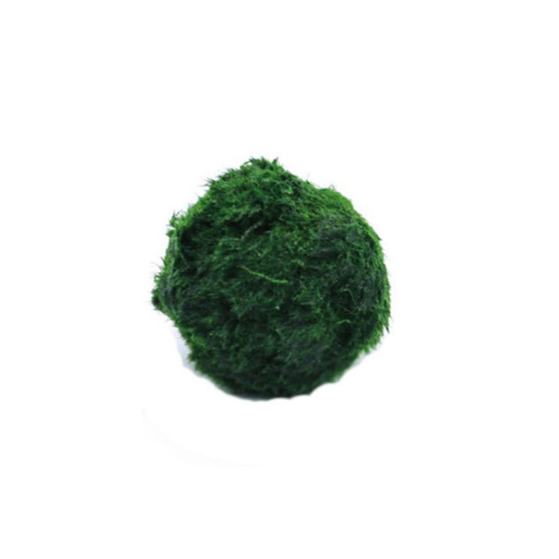 Aquarium Planted Tank Substrate - Live Marimo Mosballen 3-4cm Groene Algen