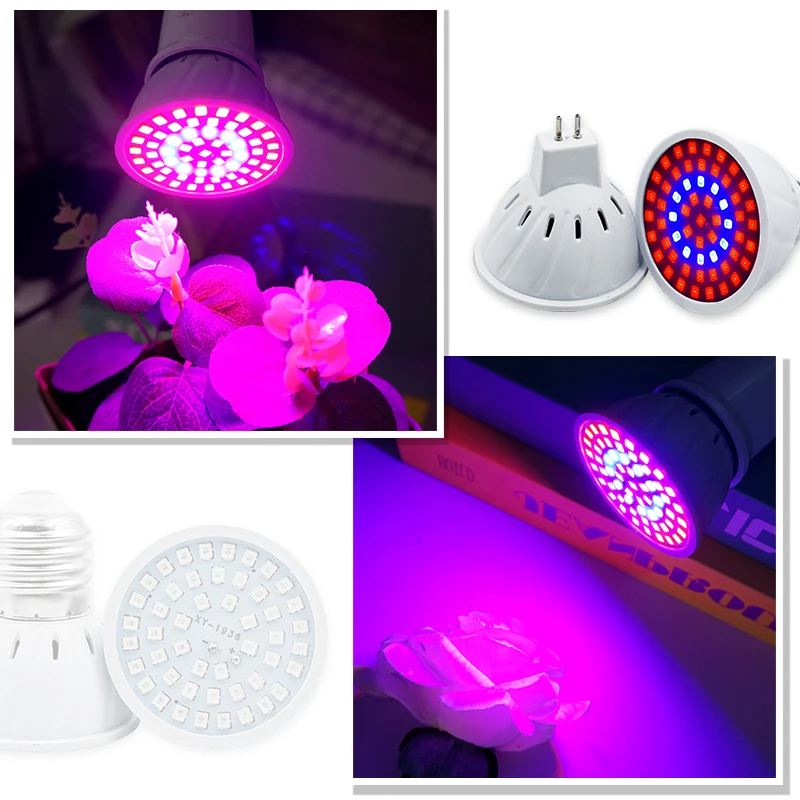 Phyto Lamp Volledige Spectrum  - Led Planted Tank Light recensie en prijs