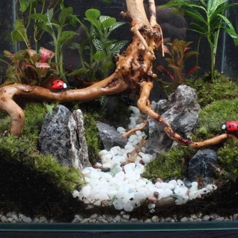 Natuurlijke Boomstam Drijfhout - Aquarium Planted Substrate recensie en prijs