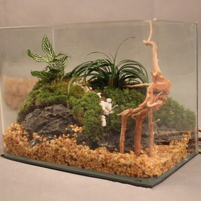 Natuurlijke Boomstam Drijfhout - Aquarium Planted Substrate recensie en prijs