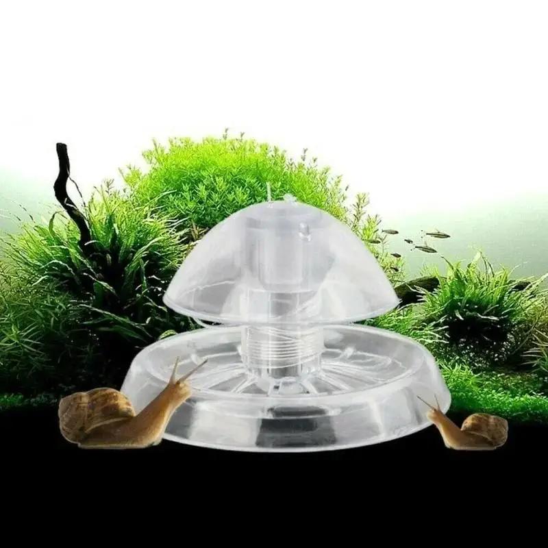 2026 Nieuwe 6/8CM Transparante - Planted Aquarium Supplies recensie en prijs