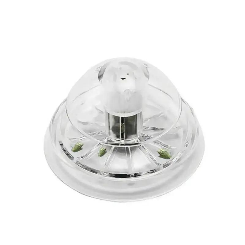 2026 Nieuwe 6/8CM Transparante - Planted Aquarium Supplies recensie en prijs