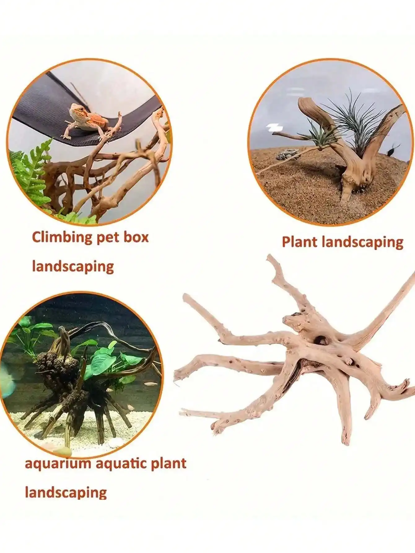 Nieuwe natuurlijke kleine boom - Planted Aquarium With Driftwood recensie en prijs