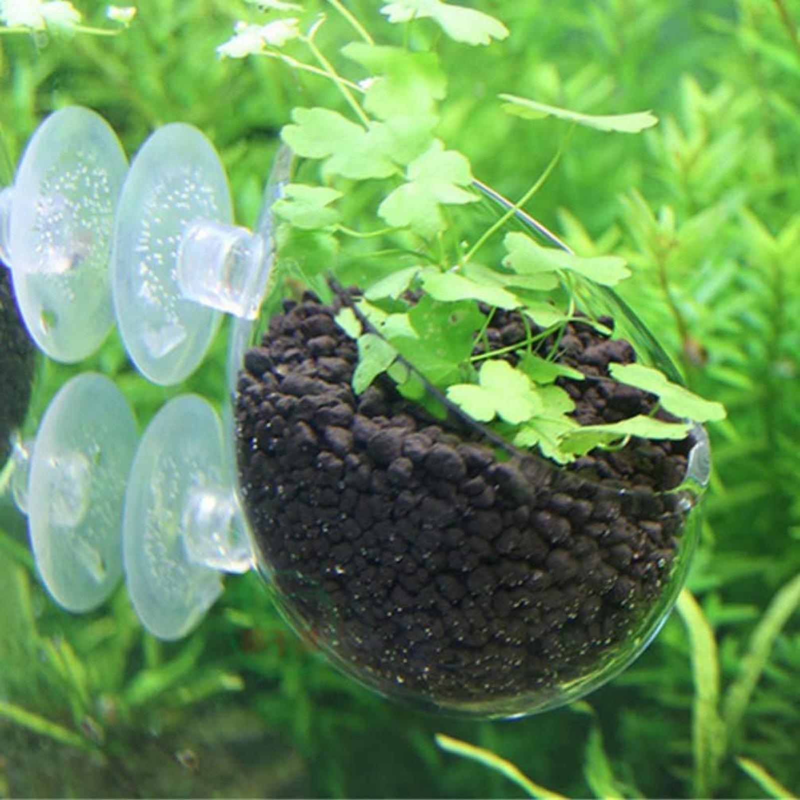 Aquariumplantenhouder Glazen A - Planted Aquarium Media recensie en prijs