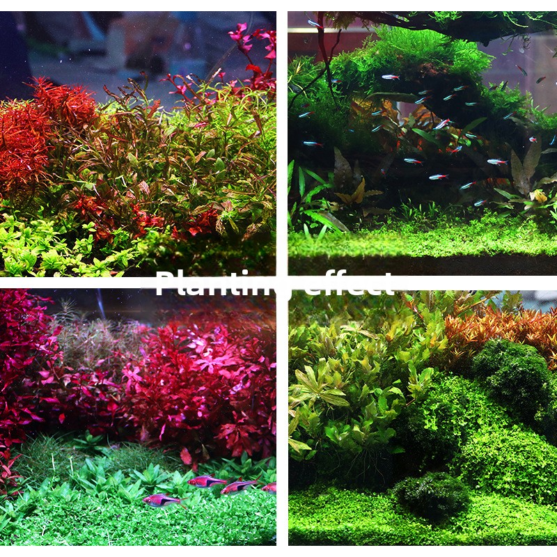 SYSENCIAGA beplant aquariumsub - Aquarium Planted Substrate recensie en prijs