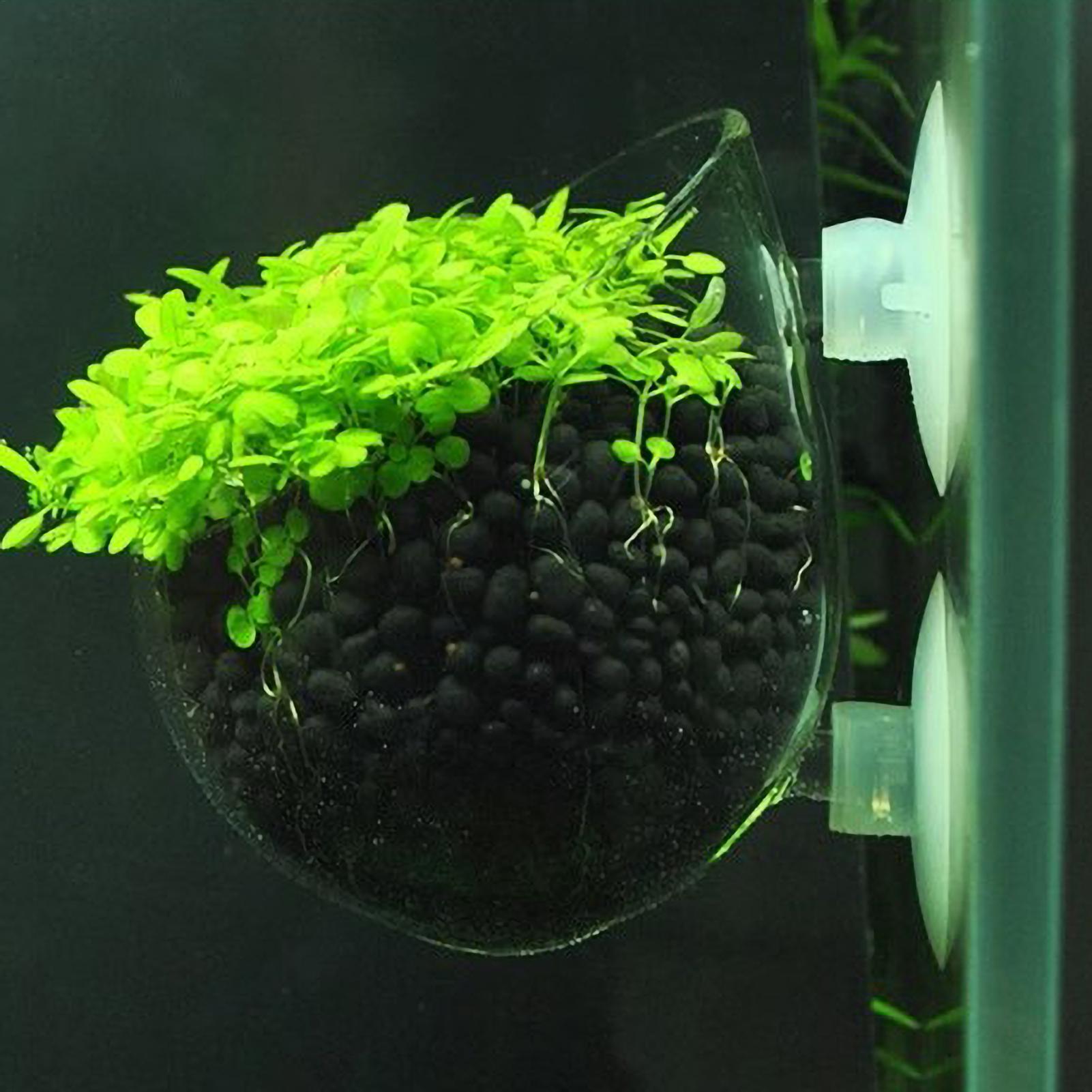 Aquarium glazen plantenpot met - Aquarium Planted Tank Substrate recensie en prijs