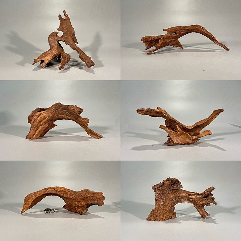 Natuurlijke drijfhout aquarium - Planted Aquarium With Driftwood recensie en prijs