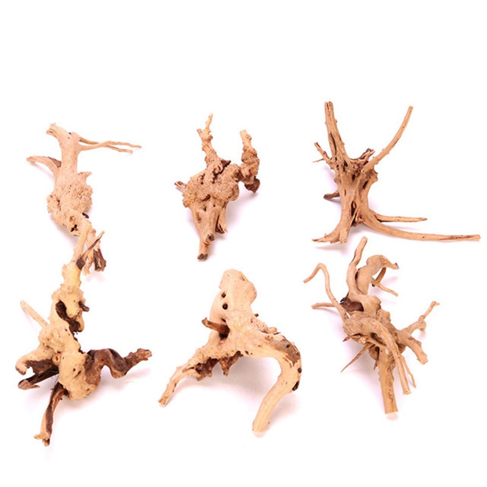 Hout N1N Landschapsarchitectuu - Planted Aquarium With Driftwood recensie en prijs