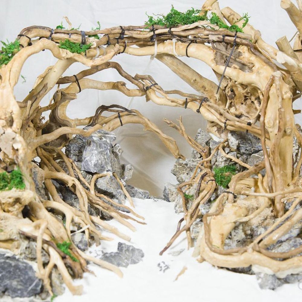 Hout N1N Landschapsarchitectuu - Planted Aquarium With Driftwood recensie en prijs