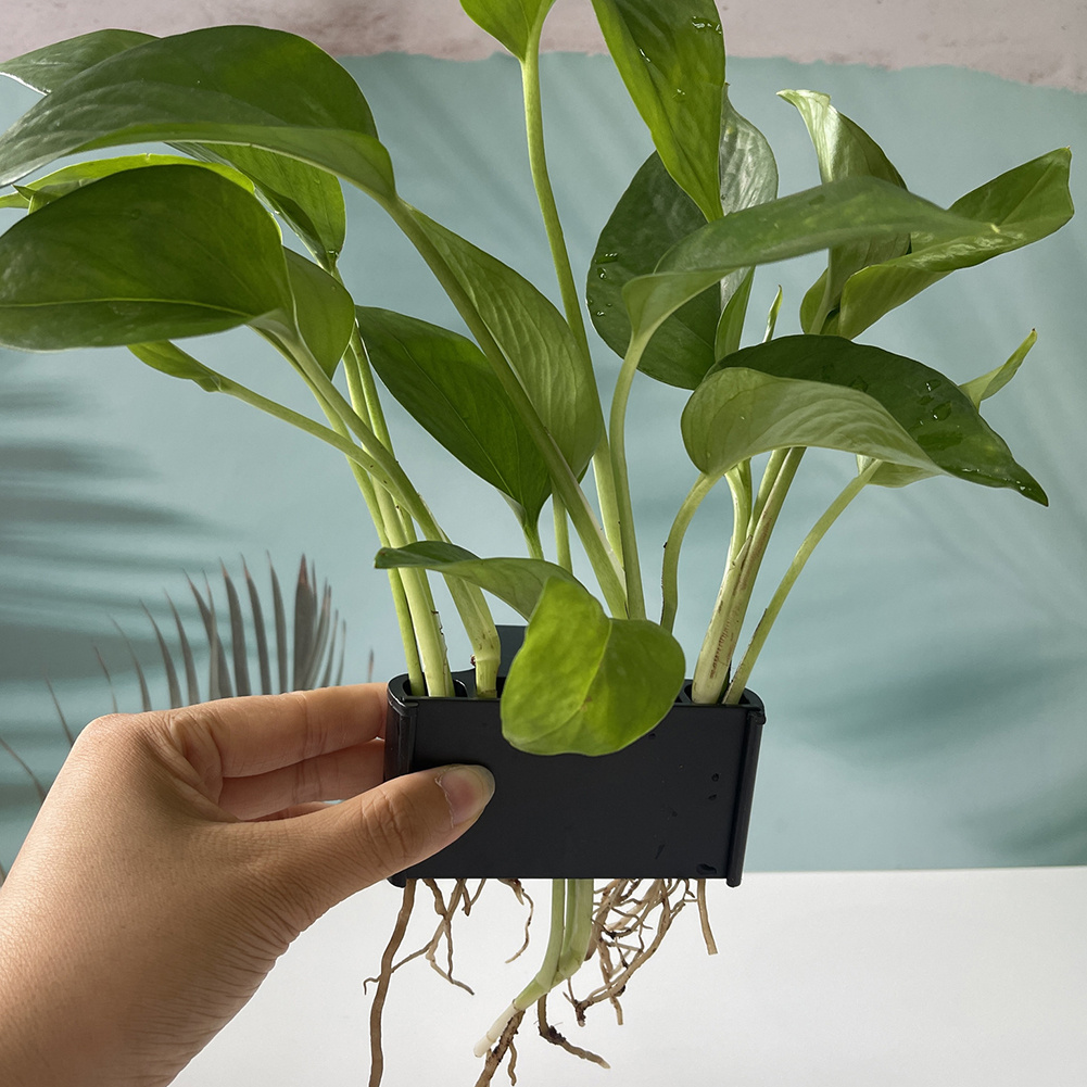 Aquariumplantenhouder met opha - Aquarium Planted Tank Substrate recensie en prijs