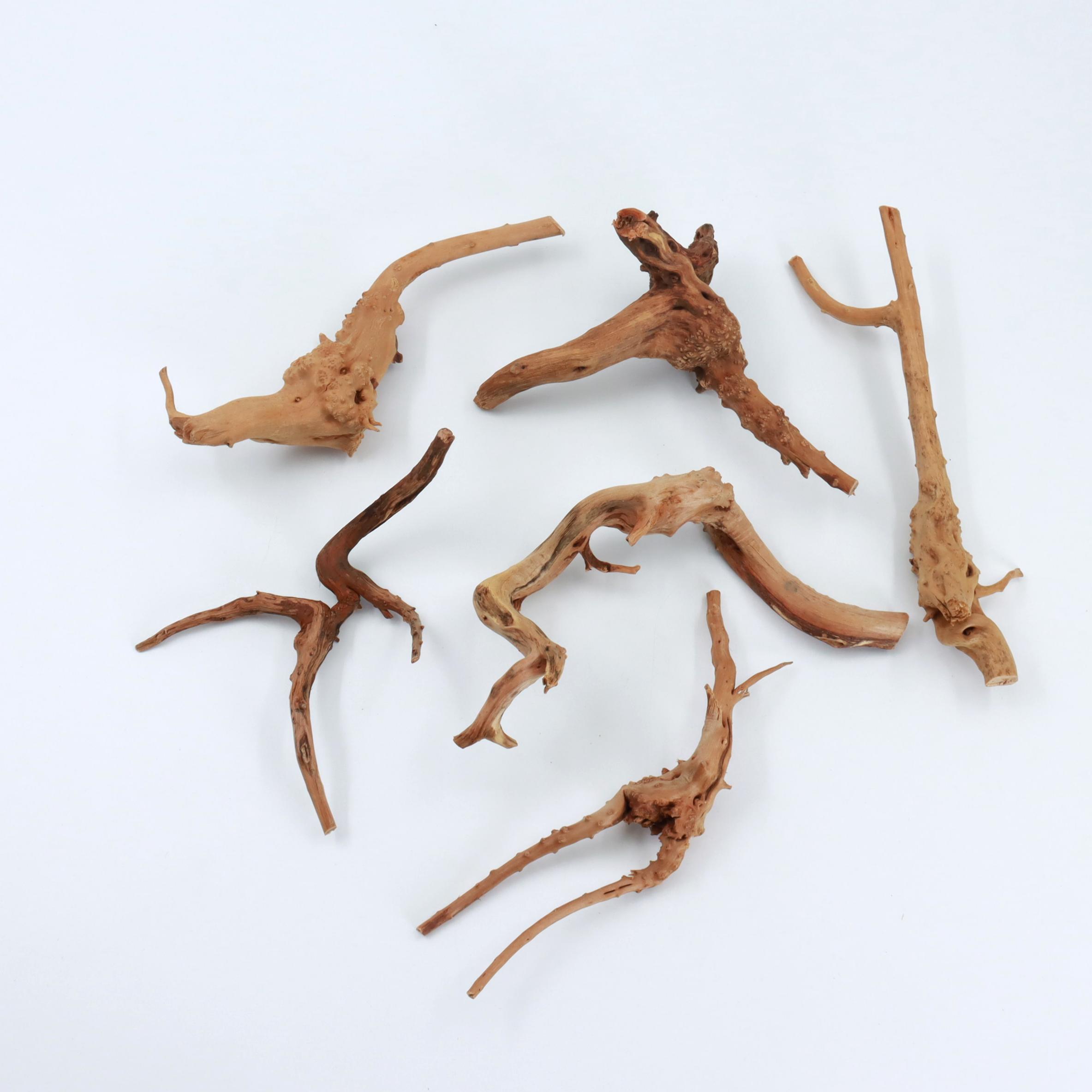 2 stuks natuurlijk klein spide - Planted Aquarium With Driftwood recensie en prijs