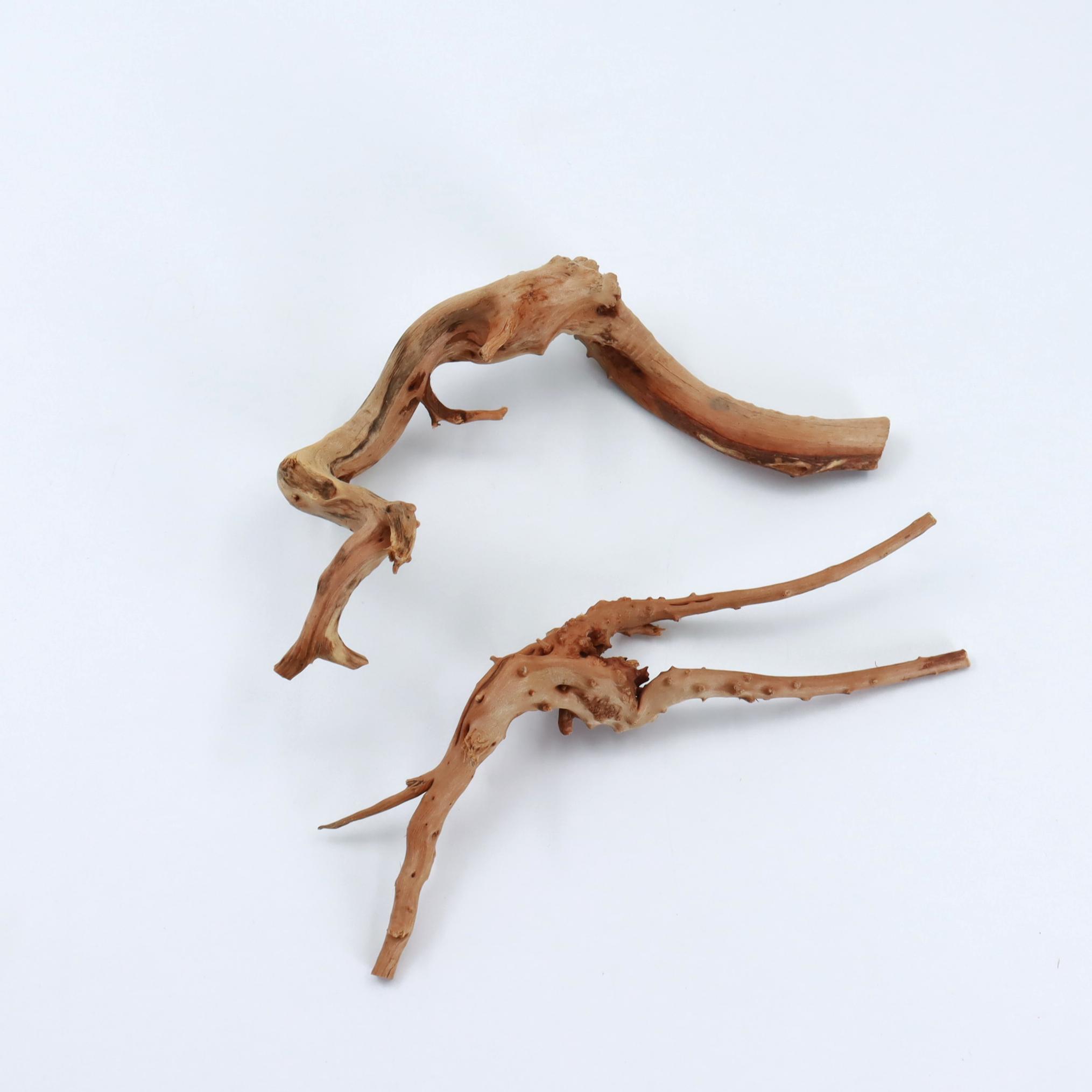 2 stuks natuurlijk klein spide - Planted Aquarium With Driftwood recensie en prijs