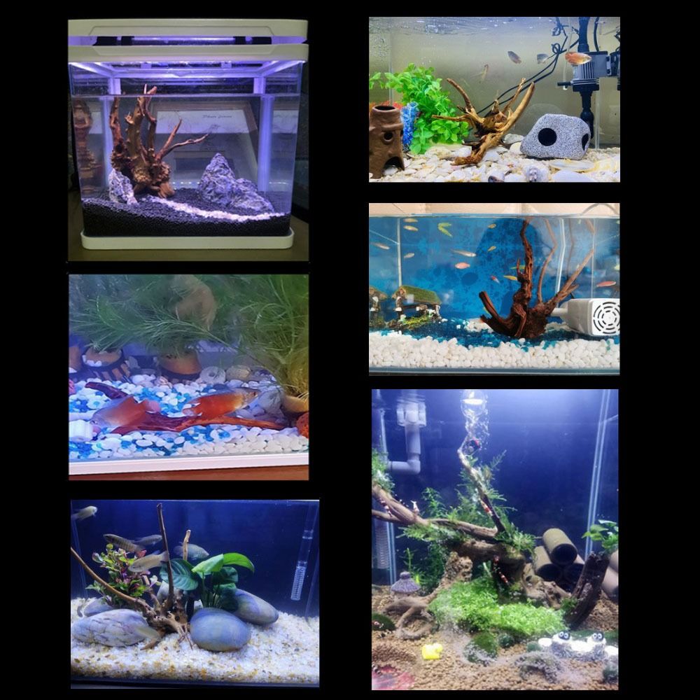 Natuurlijke Boomstam Aquarium  - Aquarium Planted Substrate recensie en prijs