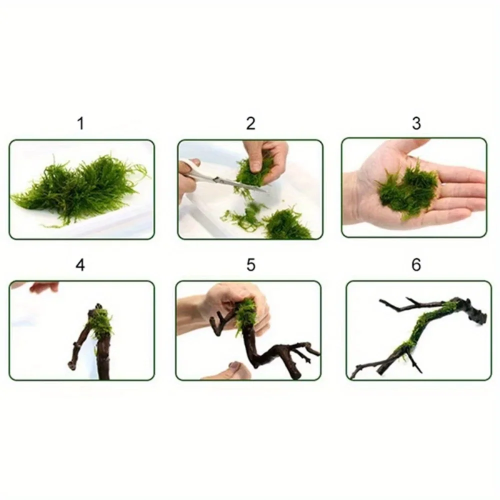 1Roll DIY Mos Lijn Bindende Li - Planted Aquarium With Driftwood recensie en prijs