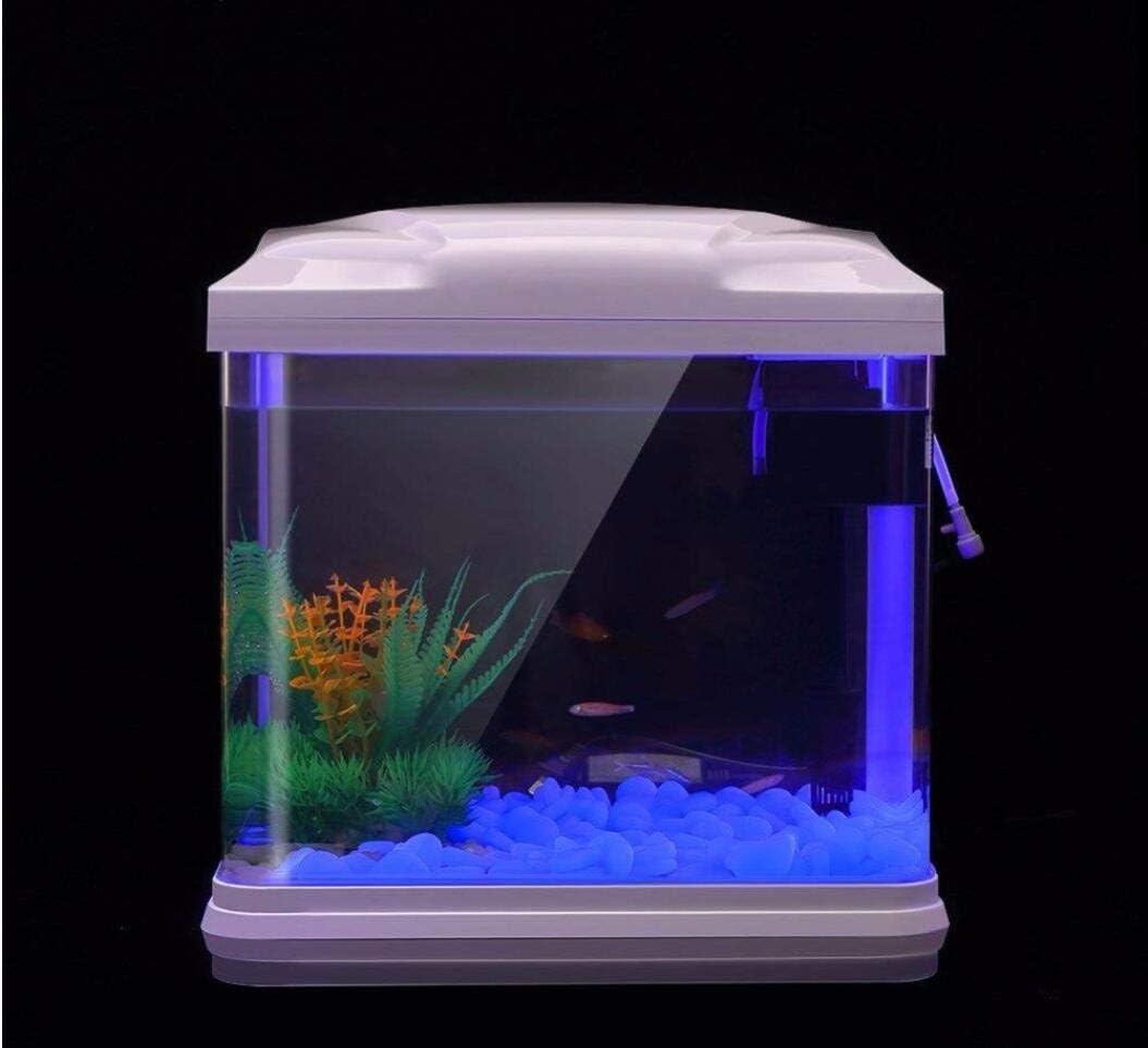 Aquarium Rotsen Glow Blue Kiez - Planted Aquarium Supplies recensie en prijs