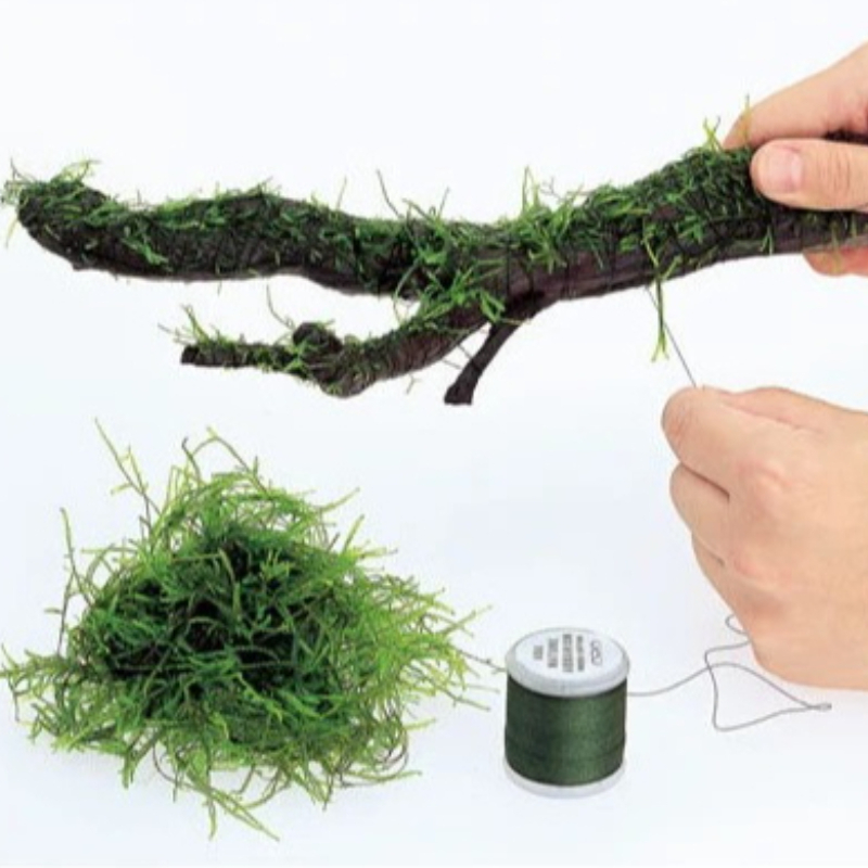 Biologisch afbreekbare aquariu - Planted Aquarium With Driftwood recensie en prijs