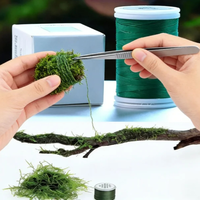 Biologisch afbreekbare aquariu - Planted Aquarium With Driftwood recensie en prijs