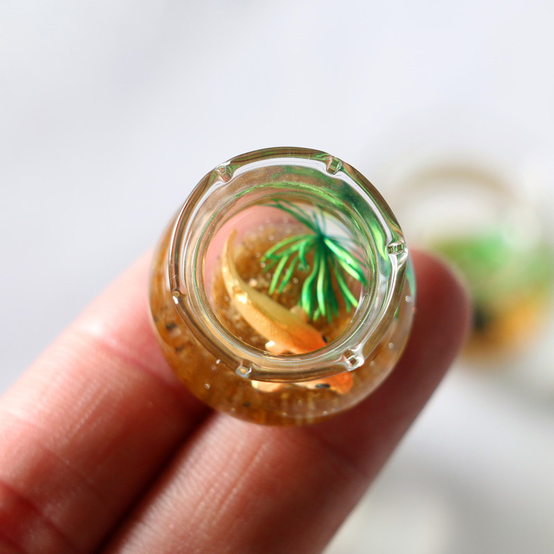 1Pc 1:12 Mini Poppenhuis Simul - Planted Aquarium Photos recensie en prijs