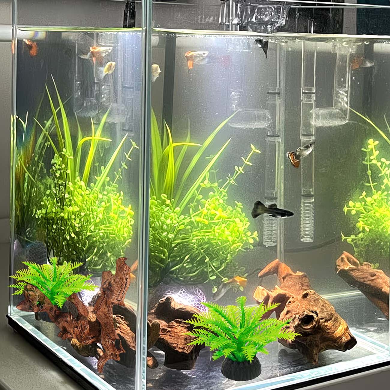 5-10CM Natuurlijk Zinkbaar Dri - Aquarium Planted Substrate recensie en prijs