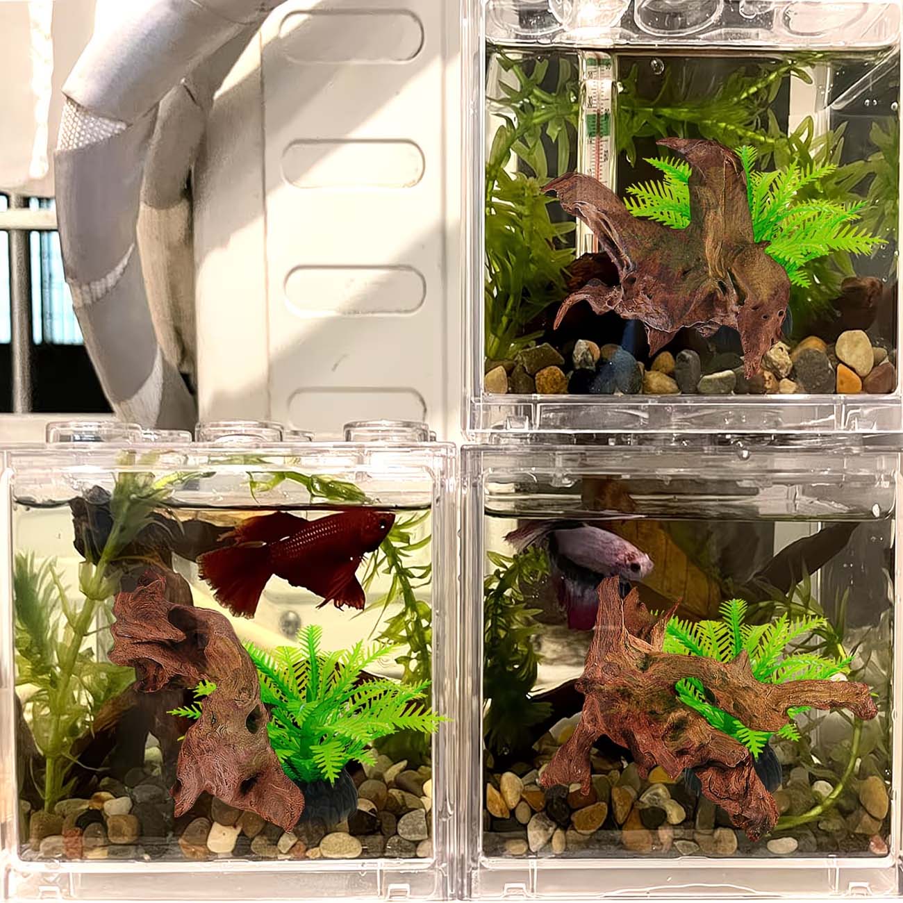 5-10CM Natuurlijk Zinkbaar Dri - Aquarium Planted Substrate recensie en prijs