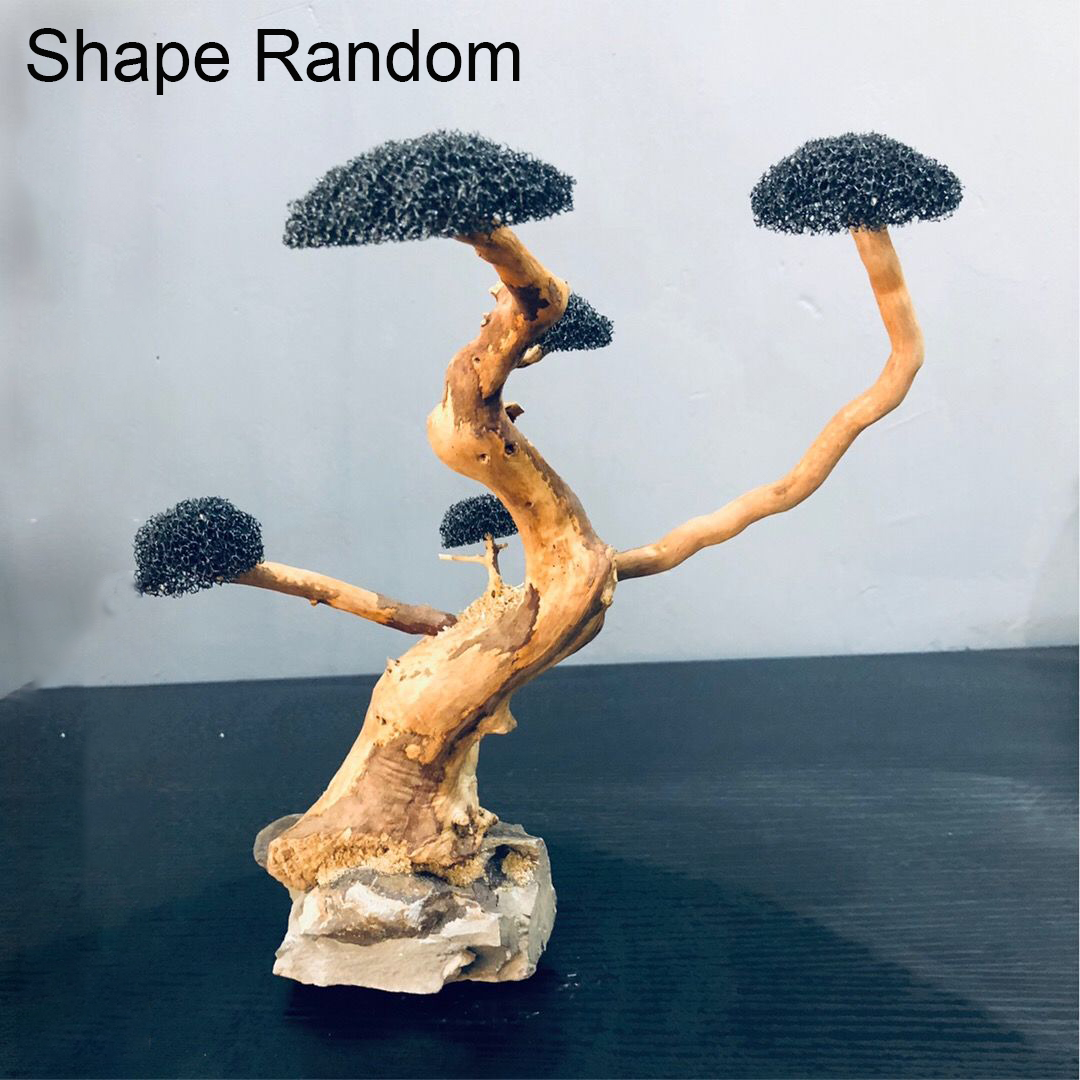 Aquarium Decoratie Mos Drijfho - Planted Aquarium With Driftwood recensie en prijs